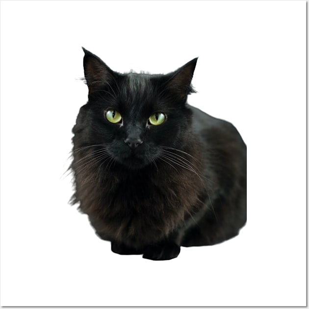 Black Cat Image Wall Art by Joys of Life